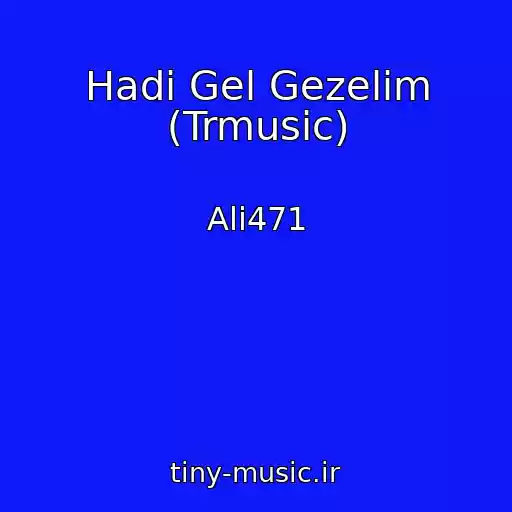 کاور آهنگ Hadi Gel Gezelim (Trmusic) از Ali471