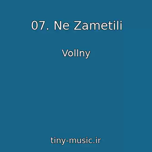 کاور آهنگ 07. Ne Zametili از Vollny