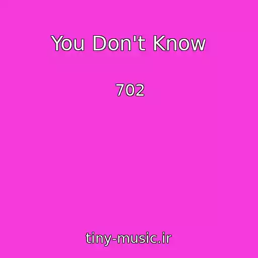 کاور آهنگ You Don't Know از 702