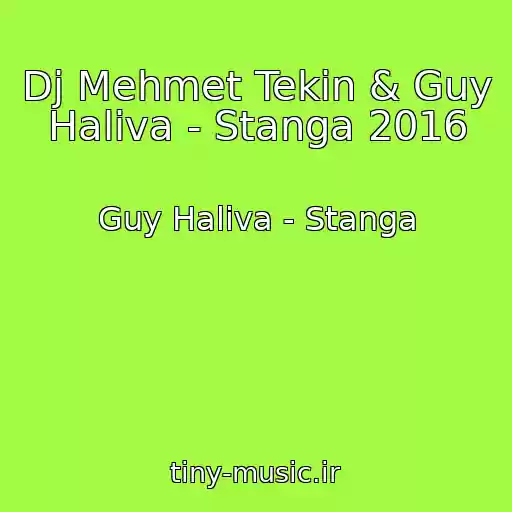 کاور آهنگ Dj Mehmet Tekin & Guy Haliva - Stanga 2016 از Guy Haliva - Stanga