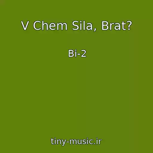 کاور آهنگ V Chem Sila, Brat? از Bi-2