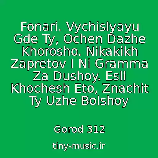 کاور آهنگ Fonari. Vychislyayu Gde Ty, Ochen Dazhe Khorosho. Nikakikh Zapretov I Ni Gramma Za Dushoy. Esli Khochesh Eto, Znachit Ty Uzhe Bolshoy از Gorod 312