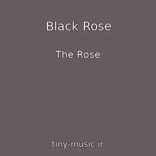 کاور آهنگ Black Rose از The Rose