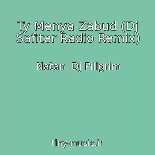 کاور آهنگ Ty Menya Zabud (Dj Safiter Radio Remix) از Natan  Dj Piligrim