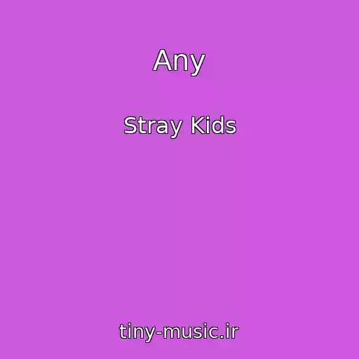 کاور آهنگ Any از Stray Kids