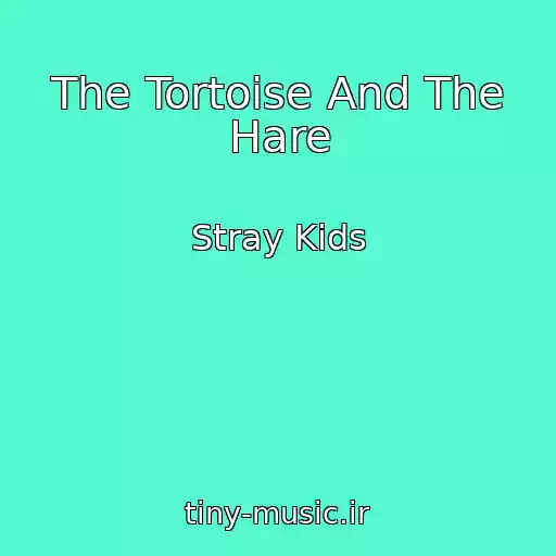 کاور آهنگ The Tortoise And The Hare از Stray Kids
