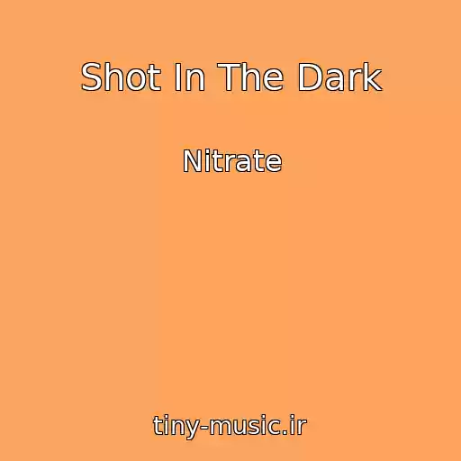 کاور آهنگ Shot In The Dark از Nitrate