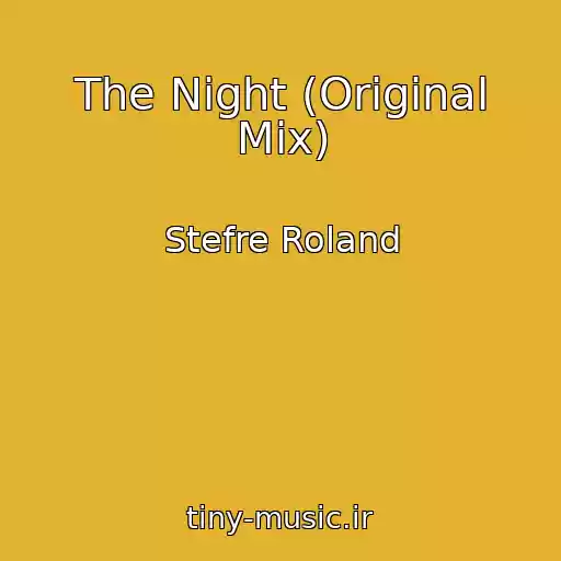 کاور آهنگ The Night (Original Mix) از Stefre Roland