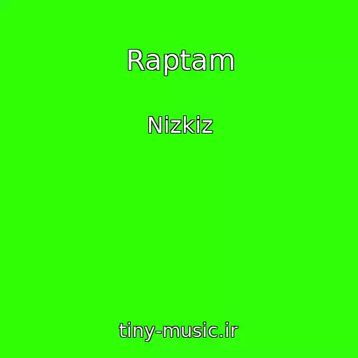 کاور آهنگ Raptam از Nizkiz