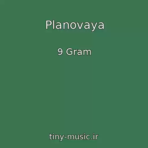 کاور آهنگ Planovaya از 9 Gram