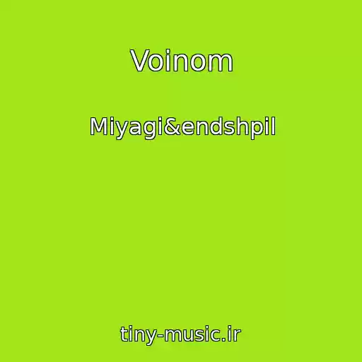 کاور آهنگ Voinom از Miyagi&endshpil