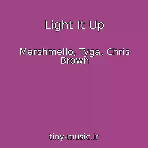 کاور آهنگ Light It Up از Marshmello, Tyga, Chris Brown