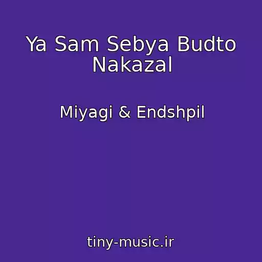 کاور آهنگ Ya Sam Sebya Budto Nakazal از Miyagi & Endshpil