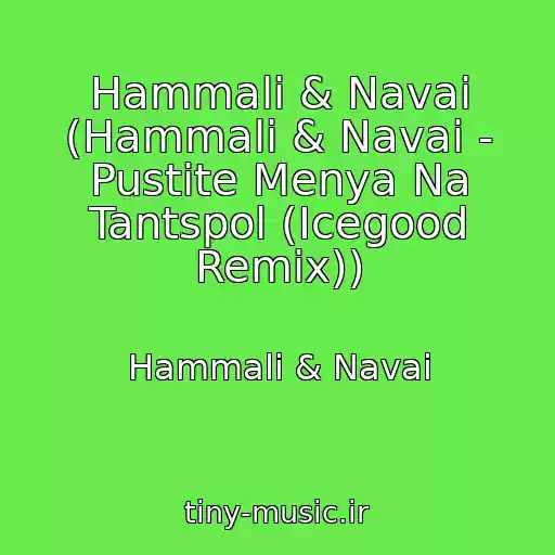 کاور آهنگ Hammali & Navai (Hammali & Navai - Pustite Menya Na Tantspol (Icegood Remix)) از Hammali & Navai