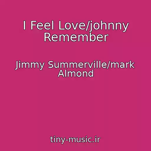کاور آهنگ I Feel Love/johnny Remember از Jimmy Summerville/mark Almond