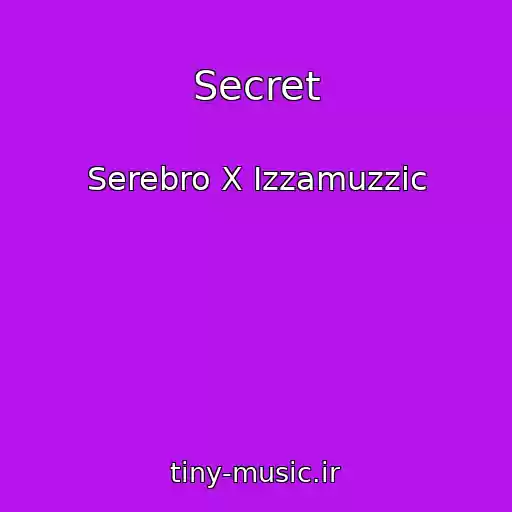 کاور آهنگ Secret از Serebro X Izzamuzzic