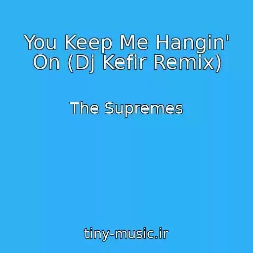 کاور آهنگ You Keep Me Hangin' On (Dj Kefir Remix) از The Supremes