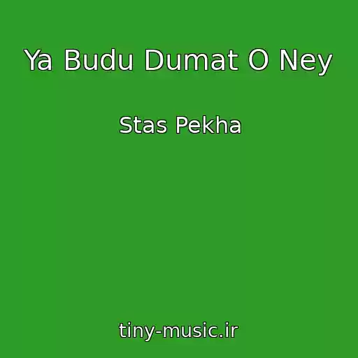 کاور آهنگ Ya Budu Dumat O Ney از Stas Pekha