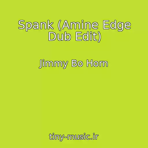 کاور آهنگ Spank (Amine Edge Dub Edit) از Jimmy Bo Horn