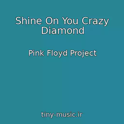 کاور آهنگ Shine On You Crazy Diamond از Pink Floyd Project