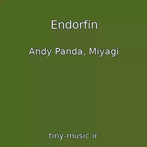 کاور آهنگ Endorfin از Andy Panda, Miyagi