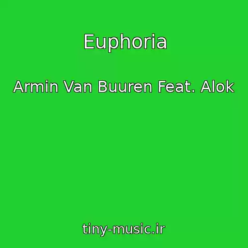 کاور آهنگ Euphoria از Armin Van Buuren Feat. Alok