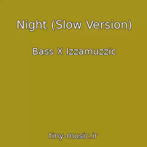 کاور آهنگ Night (Slow Version) از Bass X Izzamuzzic