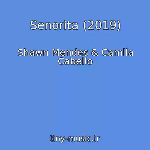 کاور آهنگ Senorita (2019) از Shawn Mendes & Camila Cabello