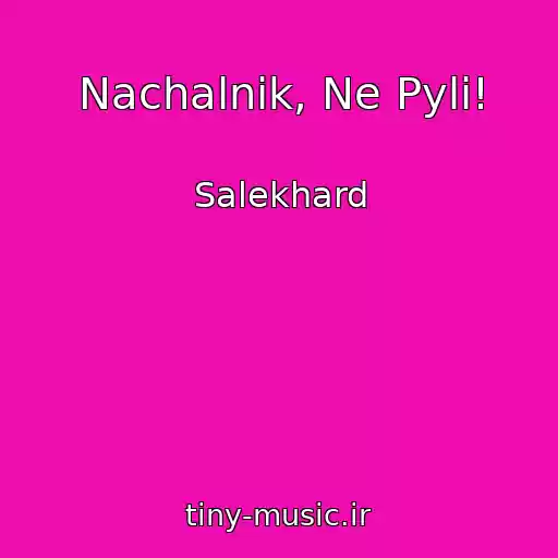 کاور آهنگ Nachalnik, Ne Pyli! از Salekhard