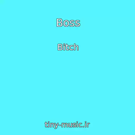 کاور آهنگ Boss از Bitch
