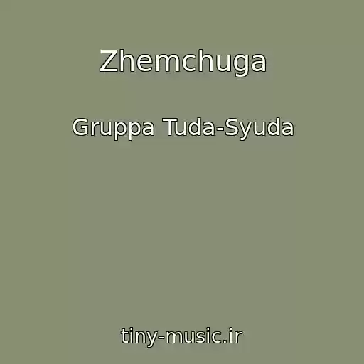 کاور آهنگ Zhemchuga از Gruppa Tuda-Syuda