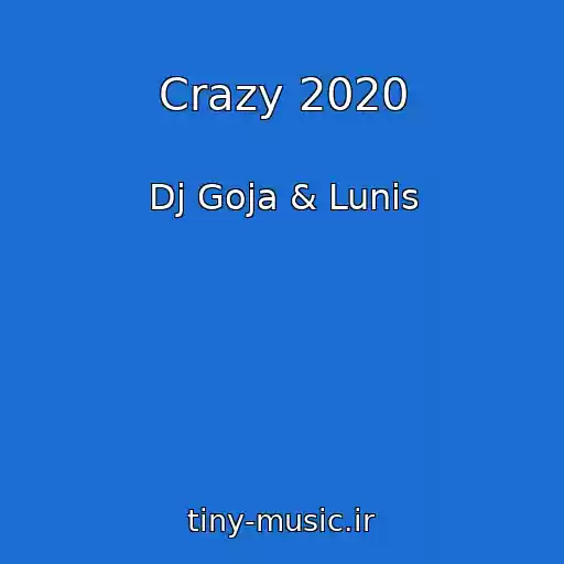 کاور آهنگ Crazy 2020 از Dj Goja & Lunis