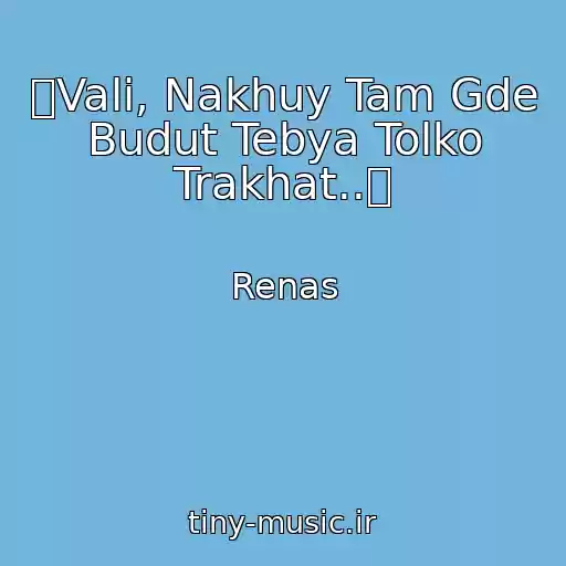کاور آهنگ ツVali, Nakhuy Tam Gde Budut Tebya Tolko Trakhat..ツ از Renas