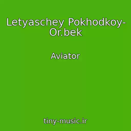 کاور آهنگ Letyaschey Pokhodkoy- Or.bek از Aviator