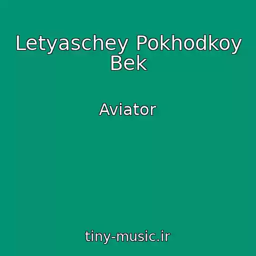 کاور آهنگ Letyaschey Pokhodkoy Bek از Aviator
