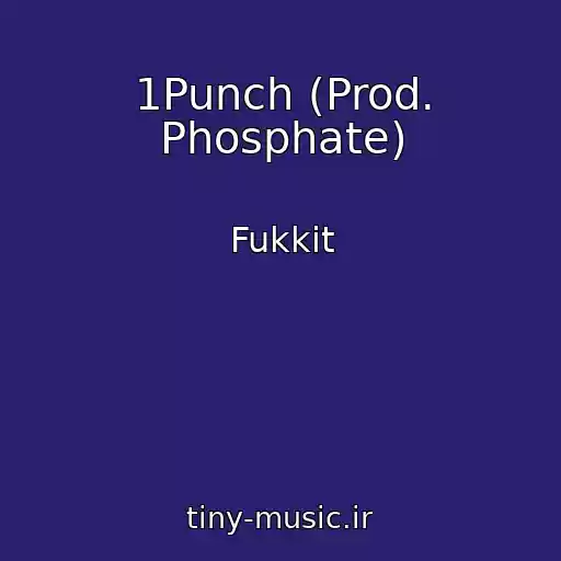 کاور آهنگ 1Punch (Prod. Phosphate) از Fukkit