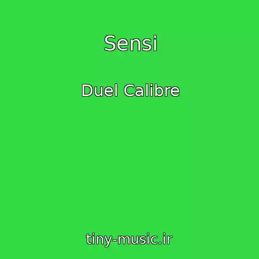 کاور آهنگ Sensi از Duel Calibre