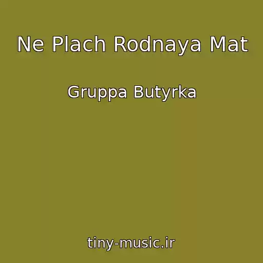 کاور آهنگ Ne Plach Rodnaya Mat از Gruppa Butyrka