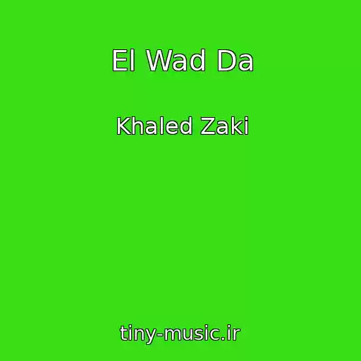 کاور آهنگ El Wad Da از Khaled Zaki