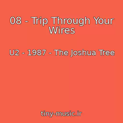 کاور آهنگ 08 - Trip Through Your Wires از U2 - 1987 - The Joshua Tree