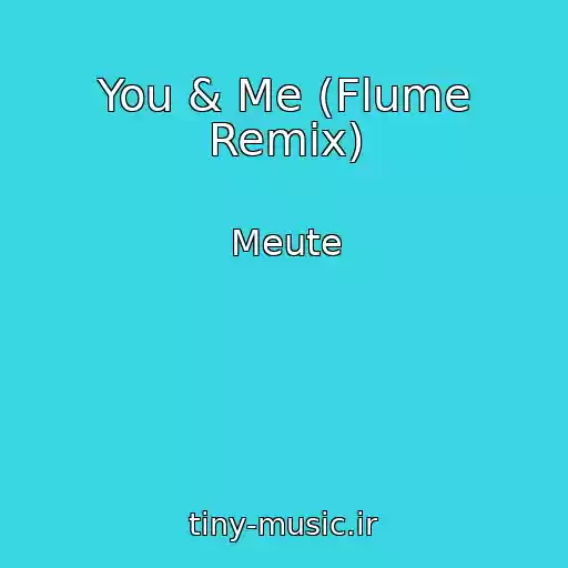 کاور آهنگ You & Me (Flume Remix) از Meute