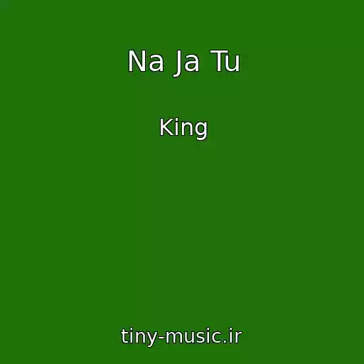 کاور آهنگ Na Ja Tu از King