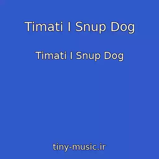 کاور آهنگ Timati I Snup Dog از Timati I Snup Dog