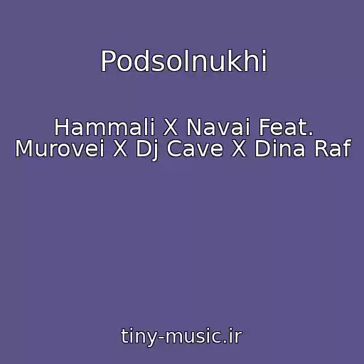 کاور آهنگ Podsolnukhi از Hammali X Navai Feat. Murovei X Dj Cave X Dina Raf