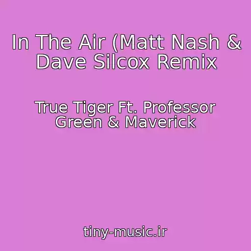 کاور آهنگ In The Air (Matt Nash & Dave Silcox Remix از True Tiger Ft. Professor Green & Maverick