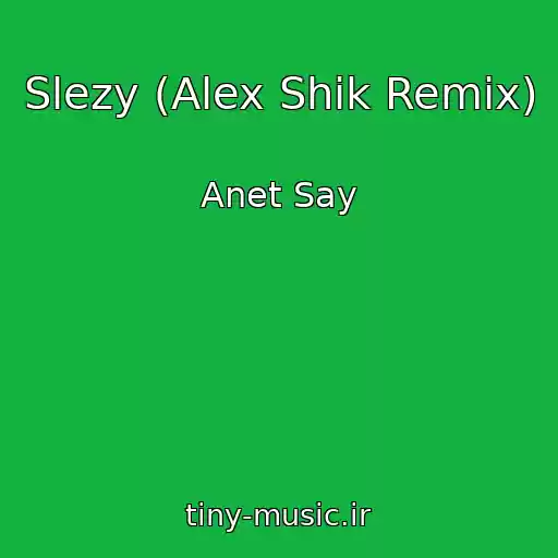 کاور آهنگ Slezy (Alex Shik Remix) از Anet Say