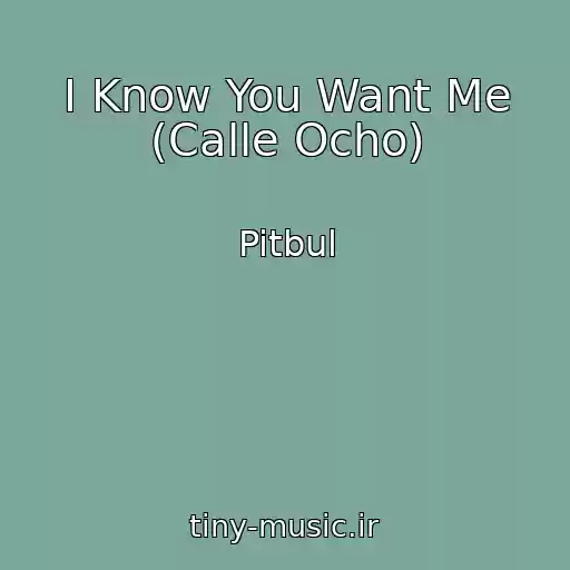 کاور آهنگ I Know You Want Me (Calle Ocho) از Pitbul