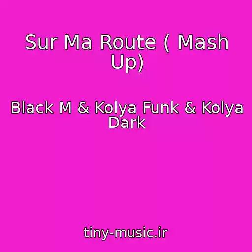 کاور آهنگ Sur Ma Route ( Mash Up) از Black M & Kolya Funk & Kolya Dark