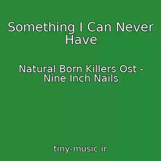کاور آهنگ Something I Can Never Have از Natural Born Killers Ost - Nine Inch Nails