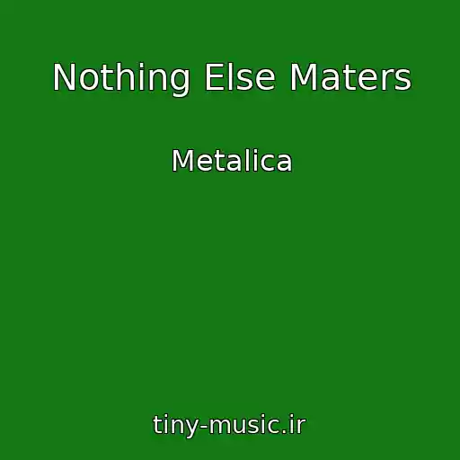 کاور آهنگ Nothing Else Maters از Metalica